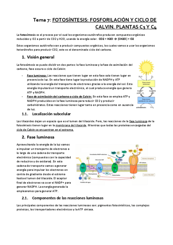 Miniatura del documento Tema-7.pdf