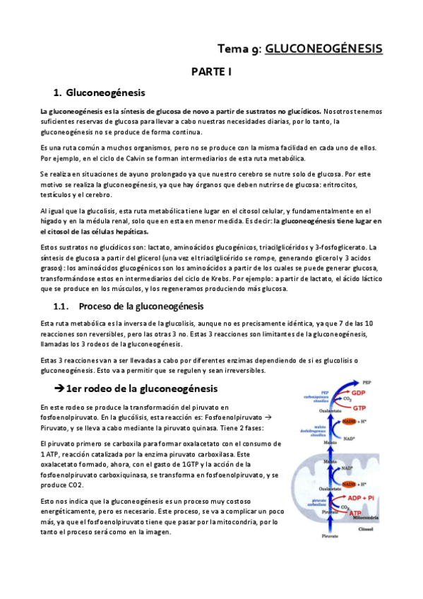 Miniatura del documento Tema-9b.pdf