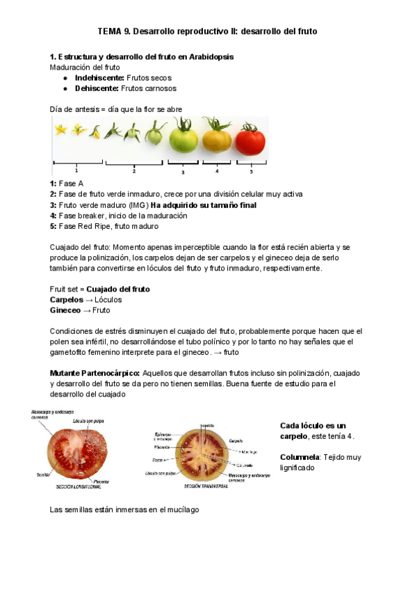 Miniatura del documento TEMA-9-1.pdf