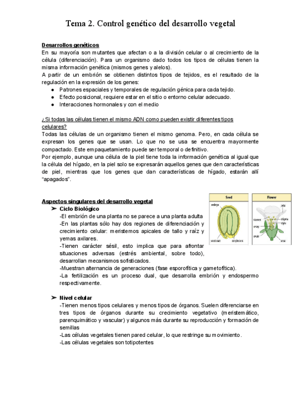 Miniatura del documento TEMA-2-2.pdf