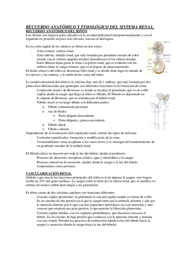 Miniatura del documento RENAL.pdf