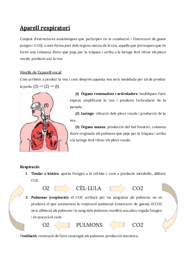 Miniatura del documento Aparell-respiratori.pdf