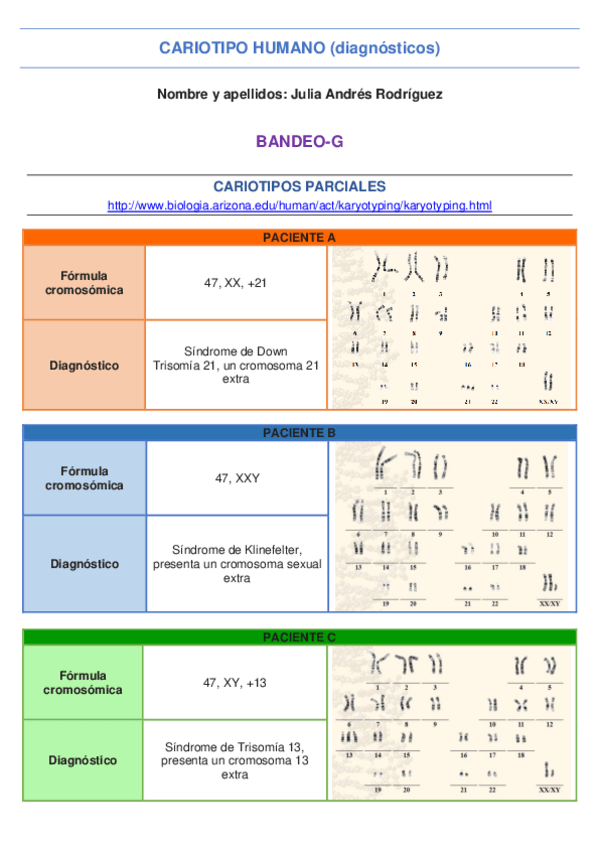Miniatura del documento Practica-cariotipo.pdf