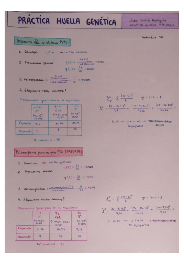 Miniatura del documento Practica-Huella-Genetica.pdf