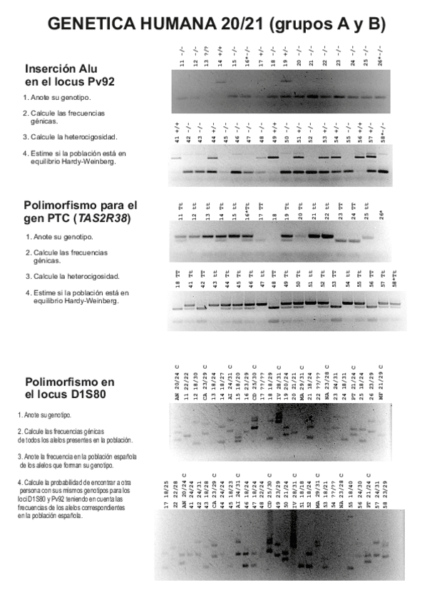 Miniatura del documento fotos-alu-d1s80-ptc-2021gruposAyB.pdf