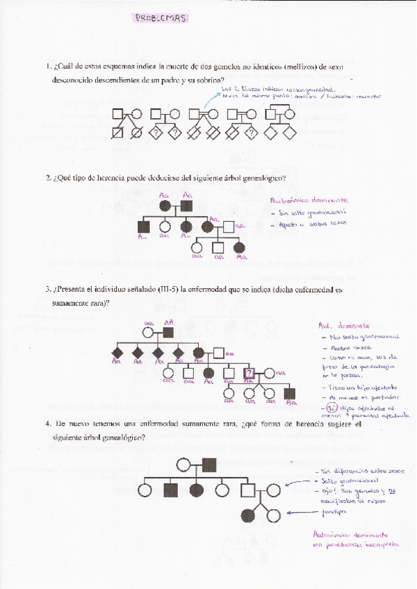 Miniatura del documento PROBLEMAS-GENETICA-HUMANA.pdf