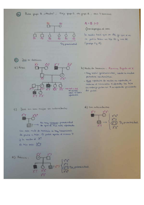Miniatura del documento PROBLEMAS.pdf