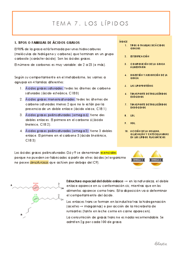 Miniatura del documento TEMA-7.pdf