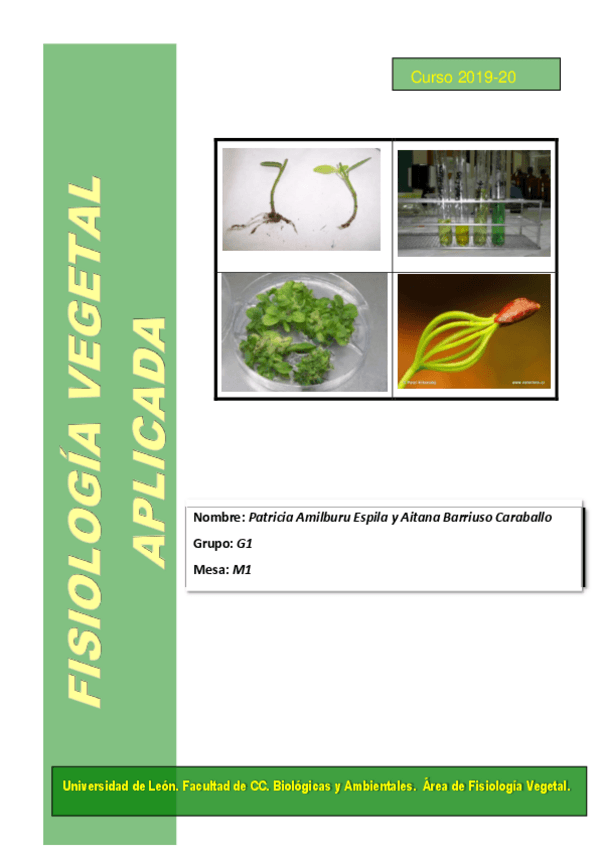 Miniatura del documento Guion-de-practicas-de-FVA-2019-2020-definitivo.pdf