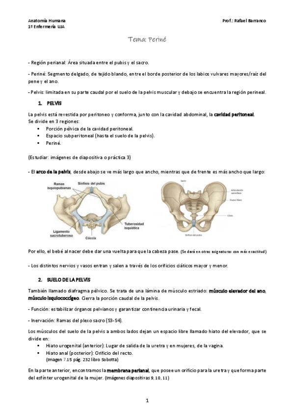 Miniatura del documento Tema-Perine.pdf