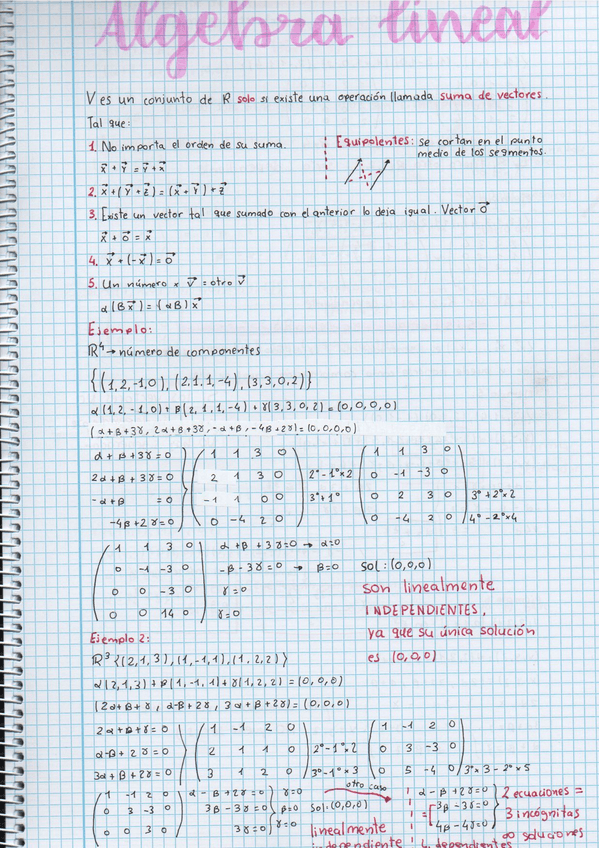 Miniatura del documento TEMA-1-Algebra-Lineal.pdf