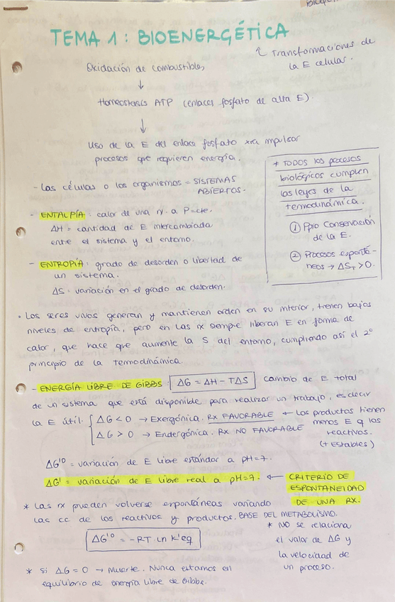 Miniatura del documento primer-parcial-bq2-apuntes.pdf