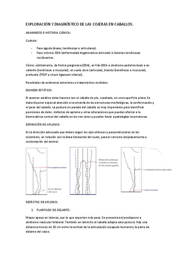 Miniatura del documento EXPLORACION-Y-DIAGNOSTICO-DE-LAS-COJERAS-EN-CABALLOS.pdf