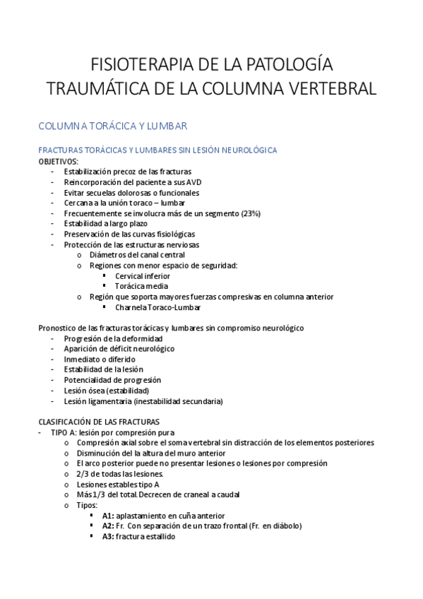 Miniatura del documento FISIOTERAPIA-DE-LA-PATOLOGIA-TRAUMATICA-DE-LA-COLUMNA-VERTEBRAL.pdf