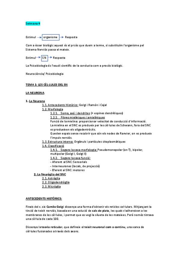 Miniatura del documento Tema-1-les-cellules-del-SN.pdf