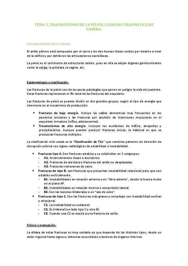 Miniatura del documento TEMA-5.pdf