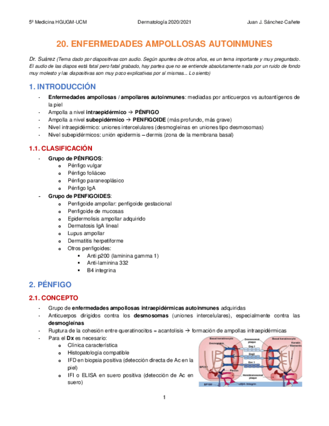 Miniatura del documento 20-ENFERMEDADES-AMPOLLOSAS-AUTOINMUNES.pdf