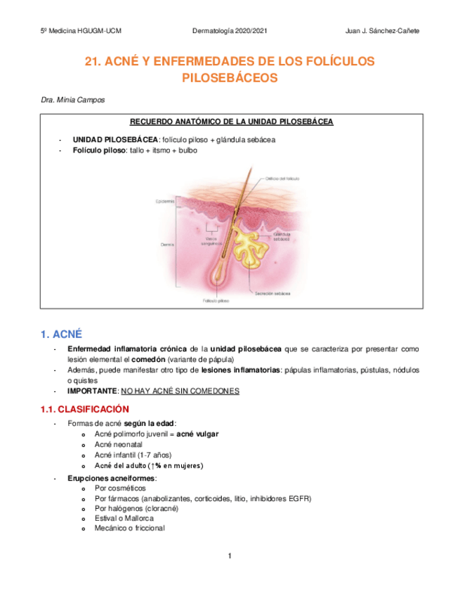 Miniatura del documento 21-ACNE.pdf