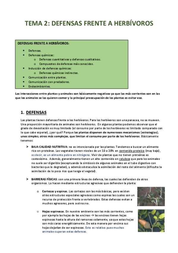 Miniatura del documento TEMA-2.pdf