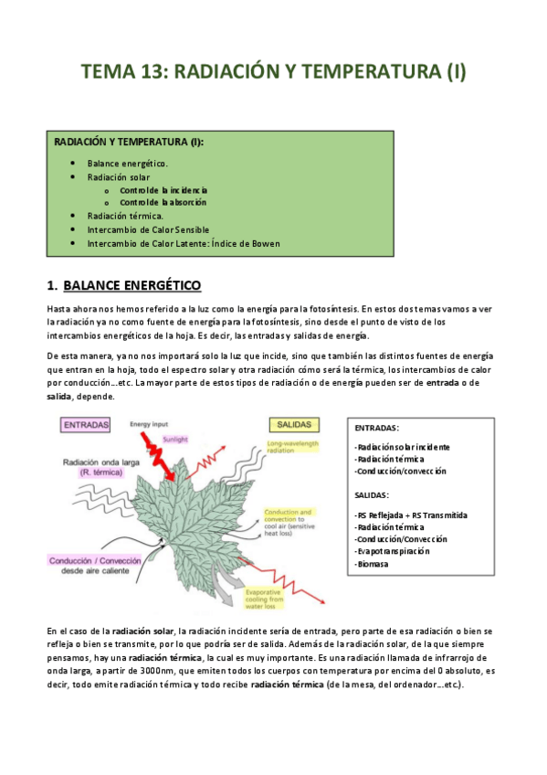 Miniatura del documento TEMA-13.pdf