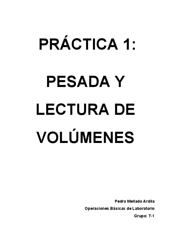 Miniatura del documento informe.pdf