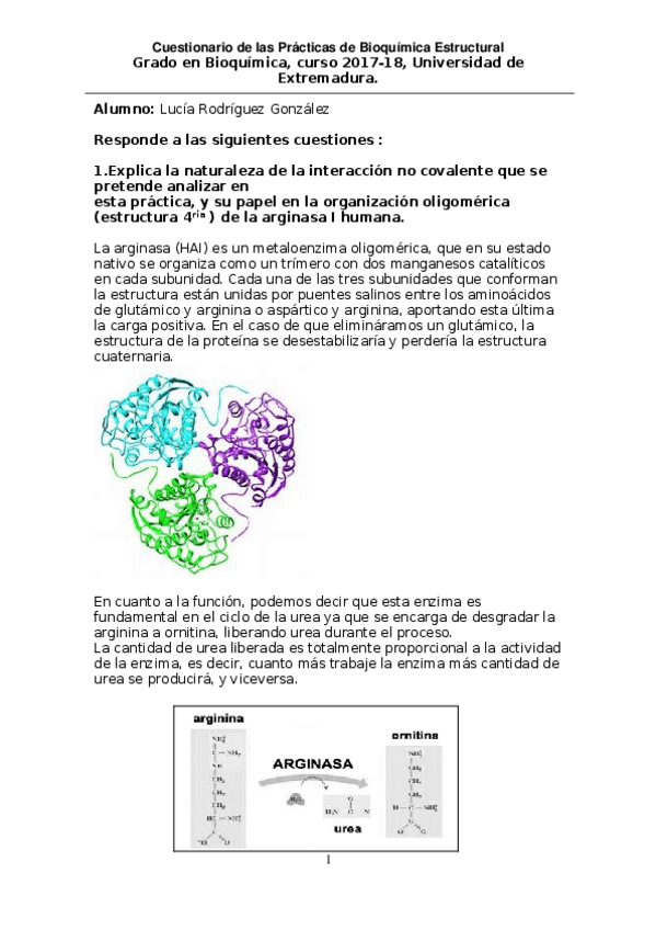 Miniatura del documento INFORME-DE-PRACTICAS.odt