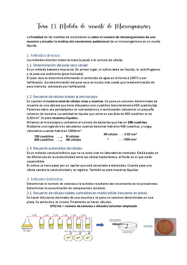 Miniatura del documento Tema-13.pdf