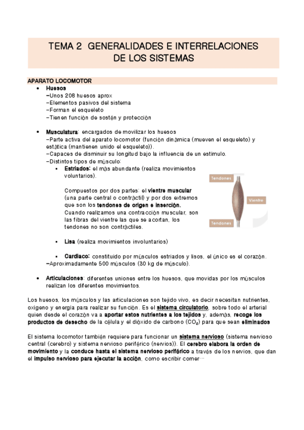 Miniatura del documento TEMA-2-Anatomia.pdf
