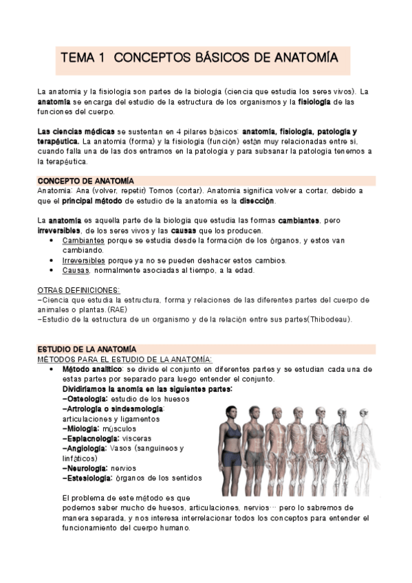 Miniatura del documento TEMA-1-Anatomia-14.pdf