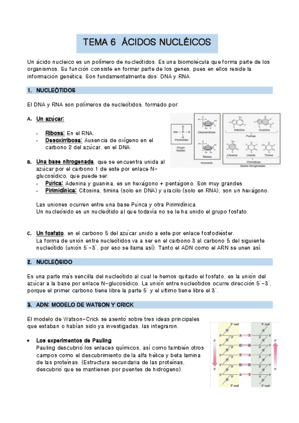 Miniatura del documento TEMA-6-bio-molec.pdf