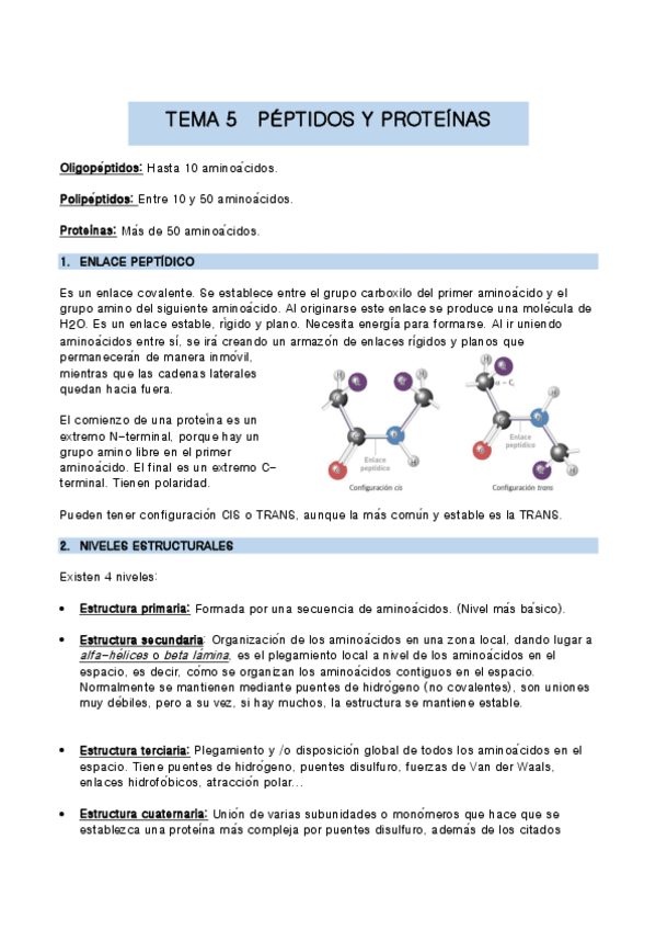 Miniatura del documento TEMA-5-bio-molec.pdf