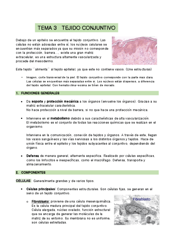 Miniatura del documento TEMA-3-biologia.pdf