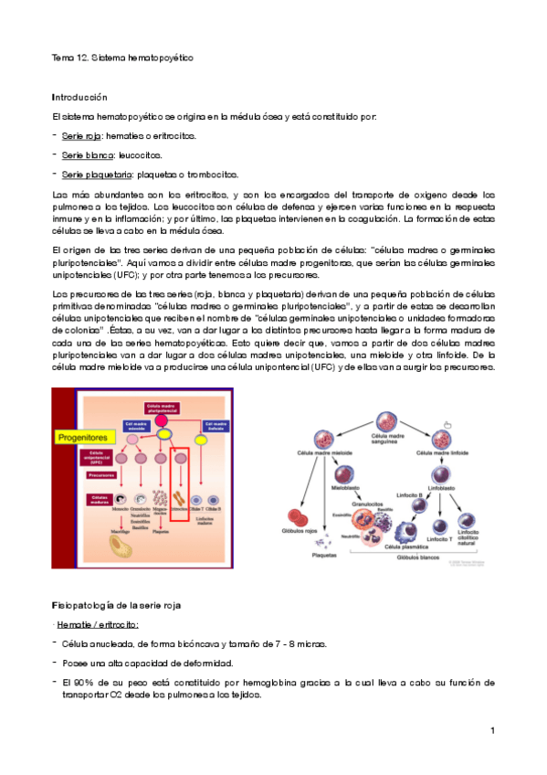 Miniatura del documento tema-12-patogen.pdf
