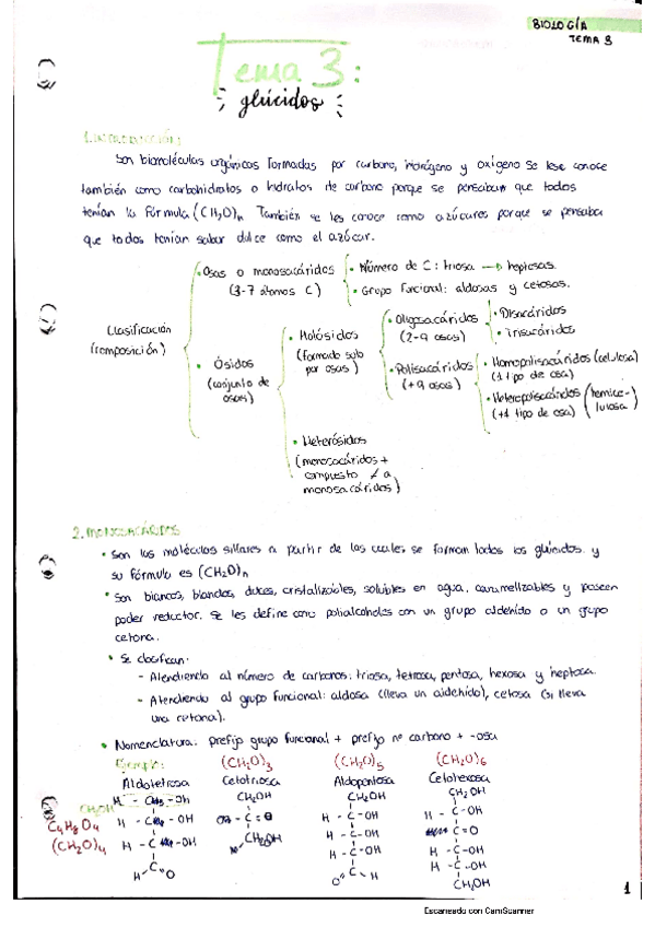 Miniatura del documento Tema-3 Glúcidos.pdf