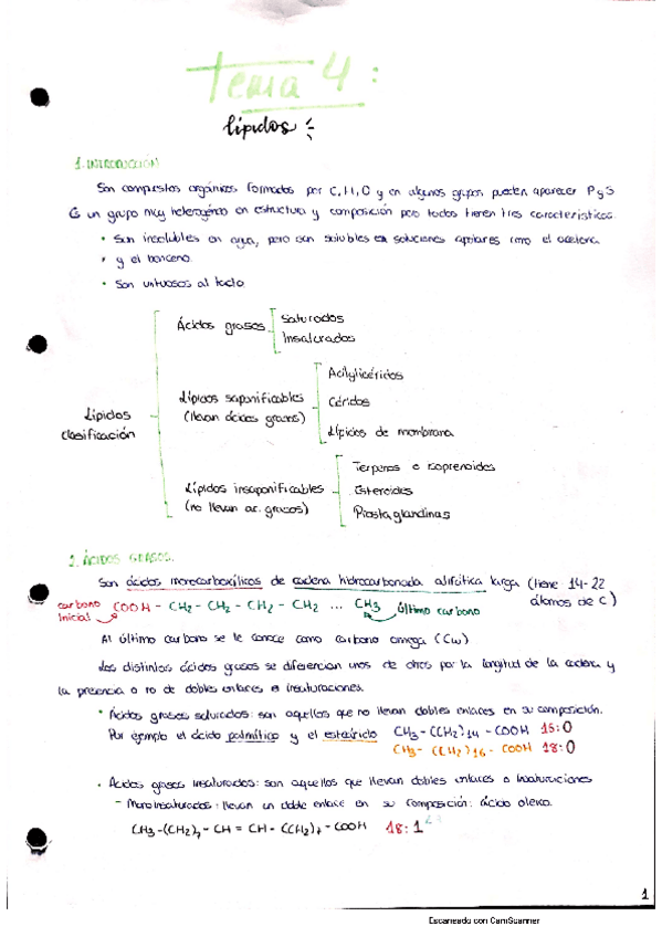 Miniatura del documento Tema-4 Lípidos.pdf