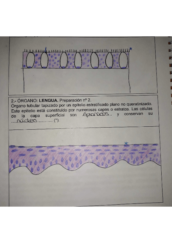 Miniatura del documento Nuevo-documento6-1.pdf