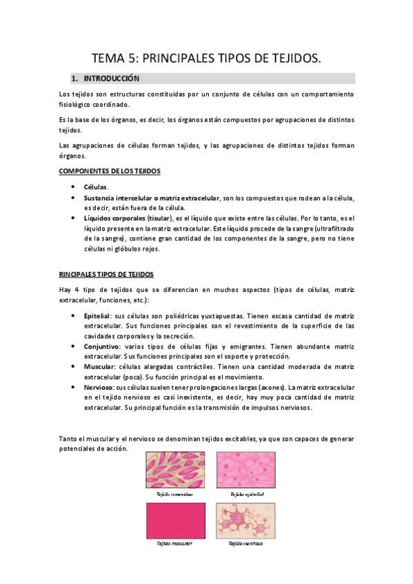 Miniatura del documento TEMA-5.pdf