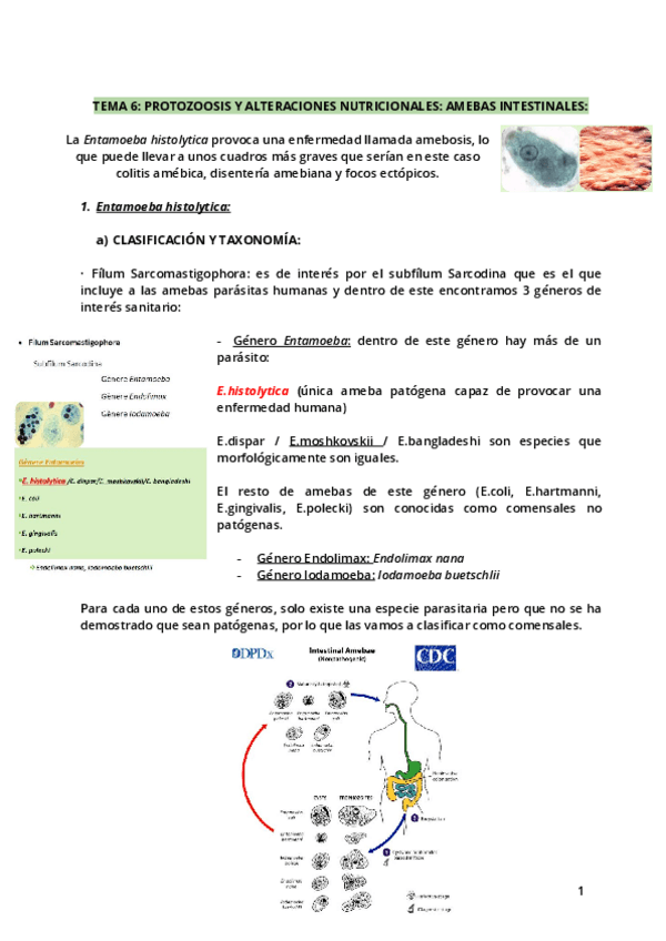 Miniatura del documento Tema-6.pdf