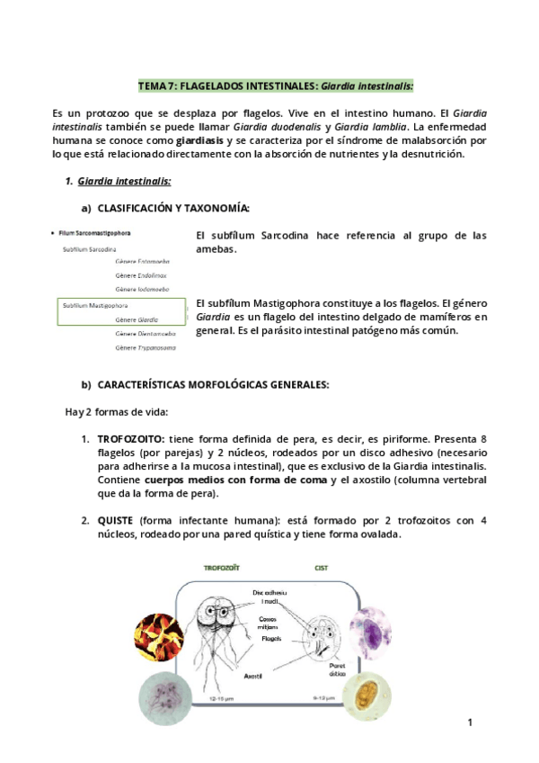 Miniatura del documento Tema-7.pdf
