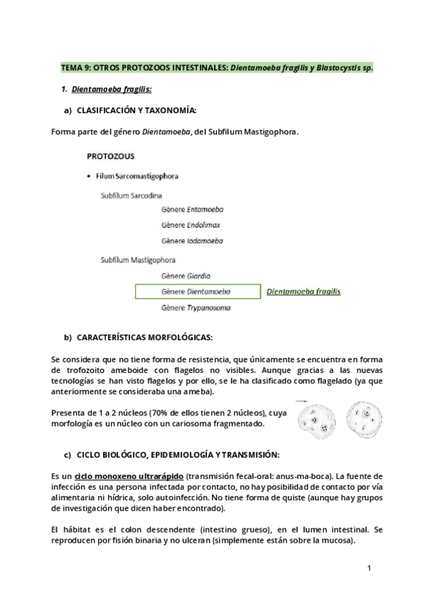 Miniatura del documento Tema-9.pdf