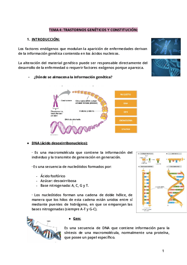 Miniatura del documento Tema-4.pdf
