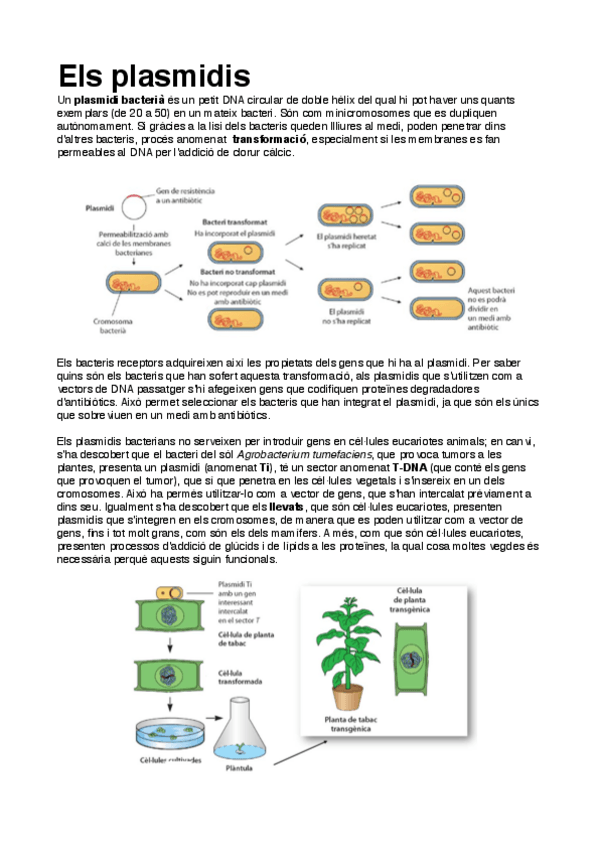 Miniatura del documento bio-plasmidis-virus-ADN.pdf