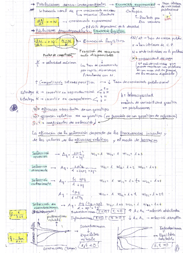 Miniatura del documento PME-Teoria.pdf