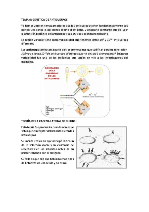 Miniatura del documento TEMA-6.pdf