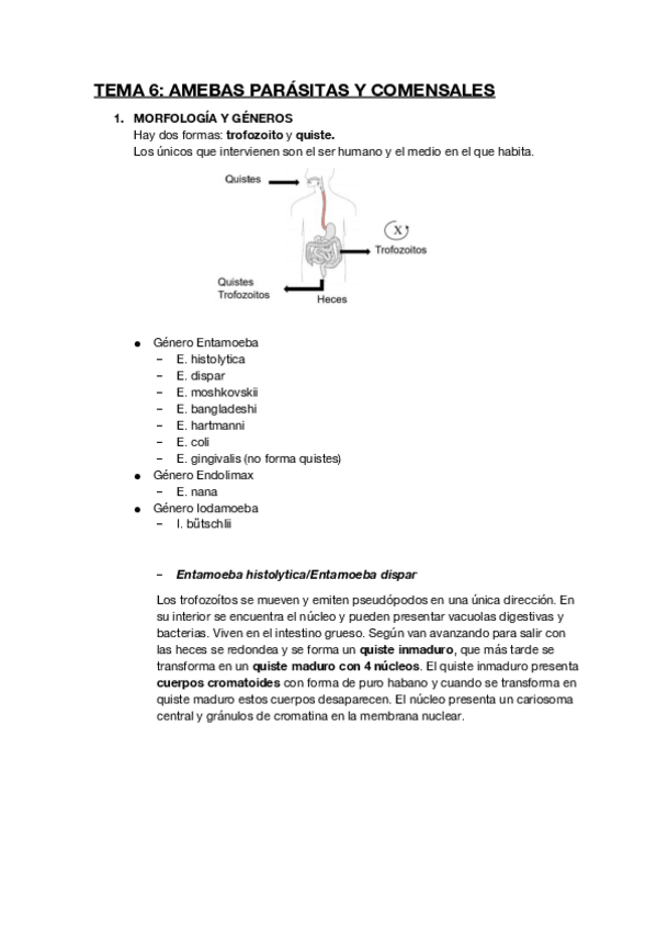 Miniatura del documento TEMA-6.pdf