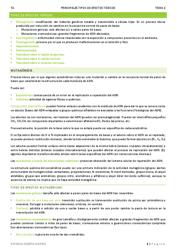 Miniatura del documento T6.pdf