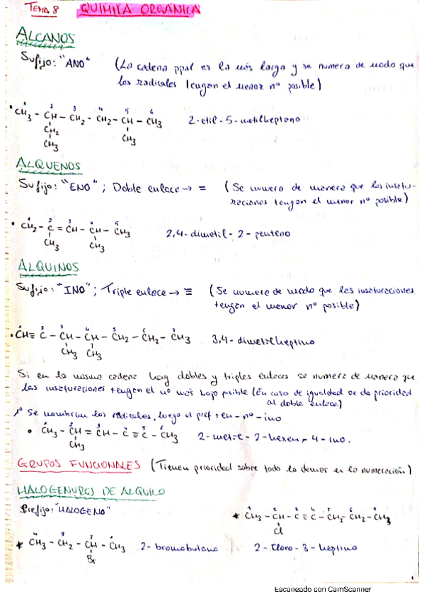 Miniatura del documento Quimica-Organica.pdf
