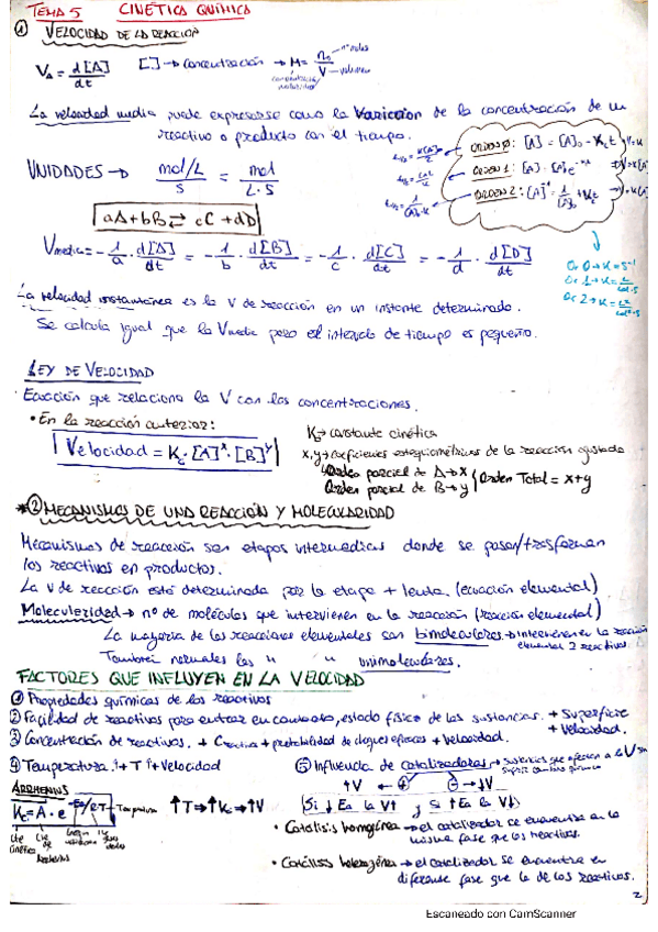Miniatura del documento Cinetica-Quimica.pdf