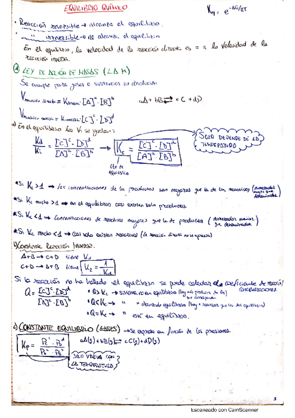 Miniatura del documento Equilibrio-Quimico.pdf
