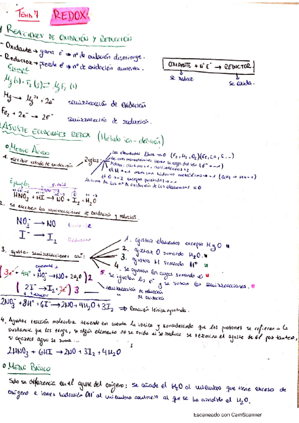 Miniatura del documento Redox.pdf